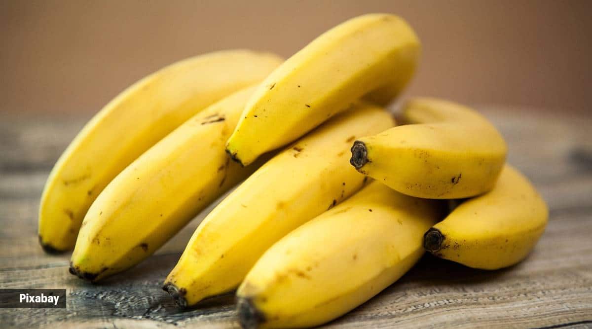 Bananas are a significant source of vitamin B6, which plays a role in converting food into energy.  Vitamin B6 helps your body metabolize carbohydrates and helps produce energy.